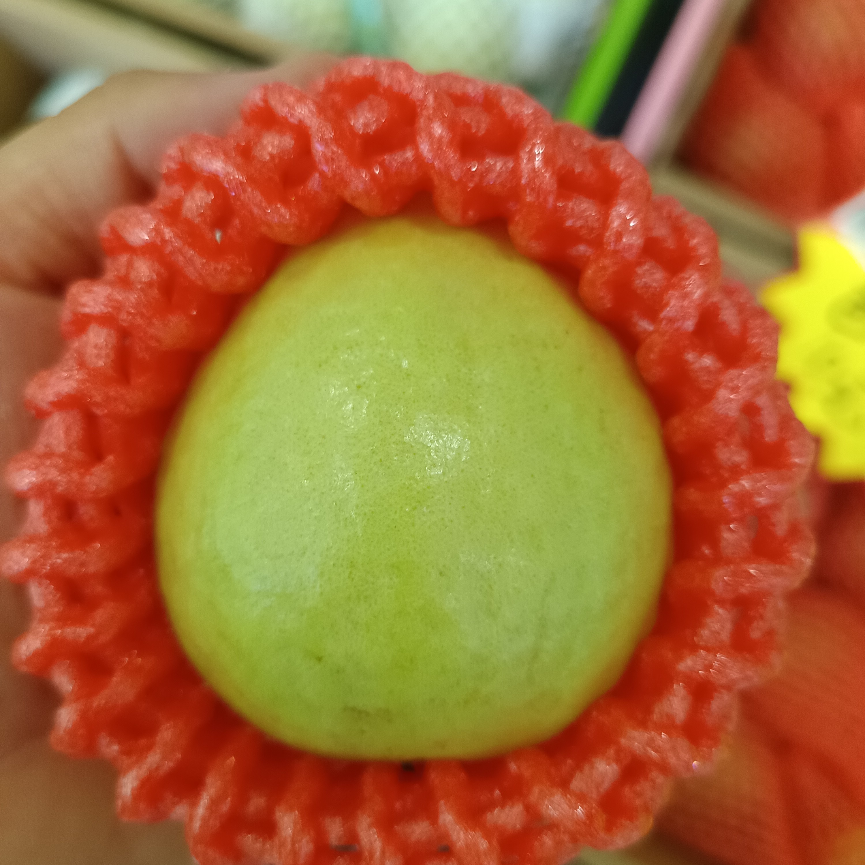芭乐28一箱（5斤左右）