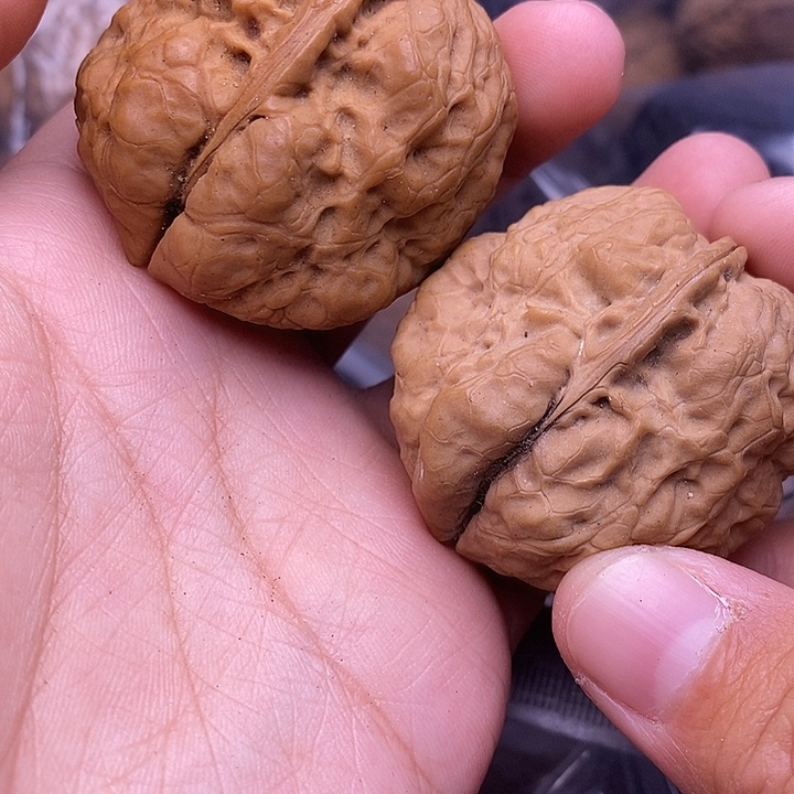 把件文玩核桃   50