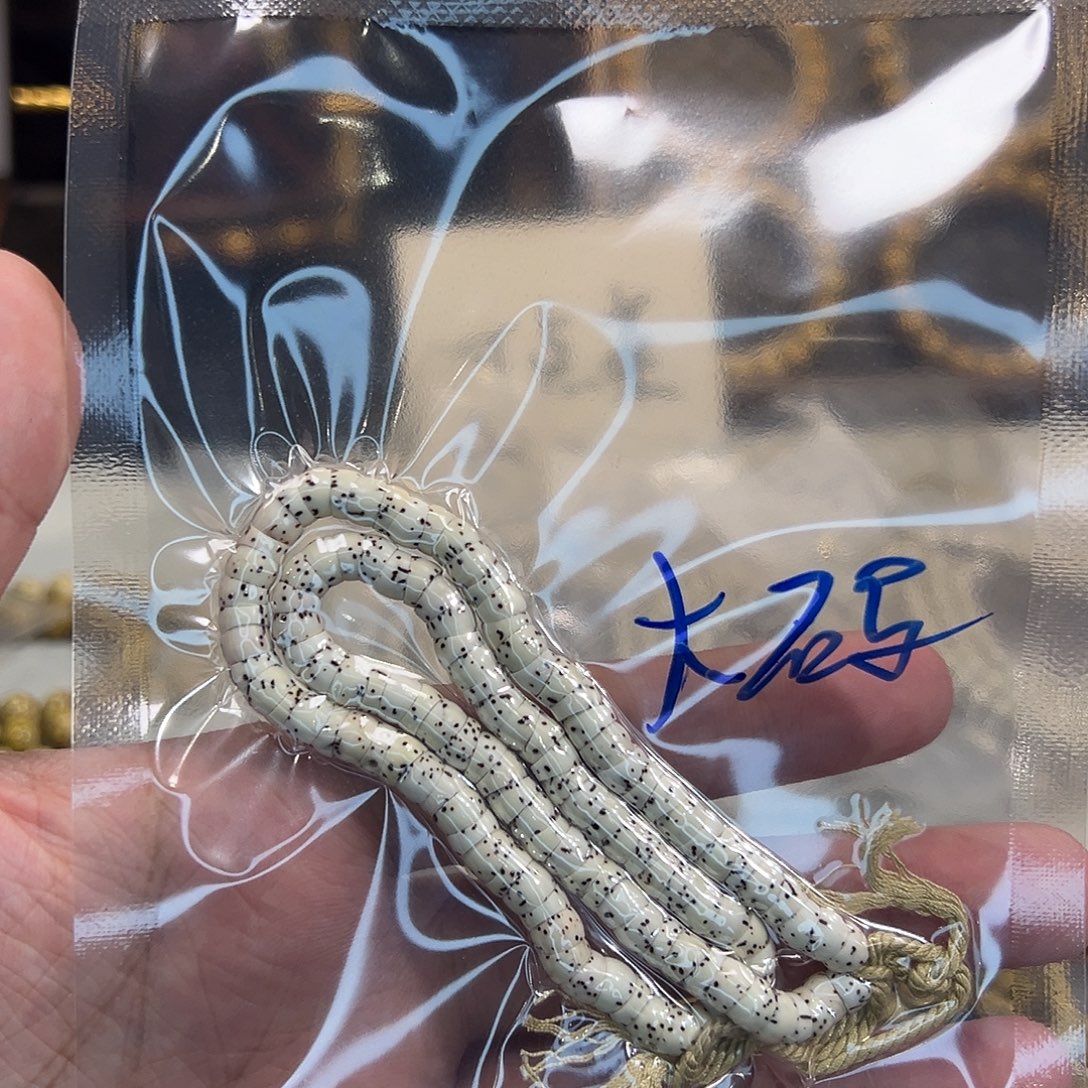 大***拿手串星月菩提6mm星月菩提