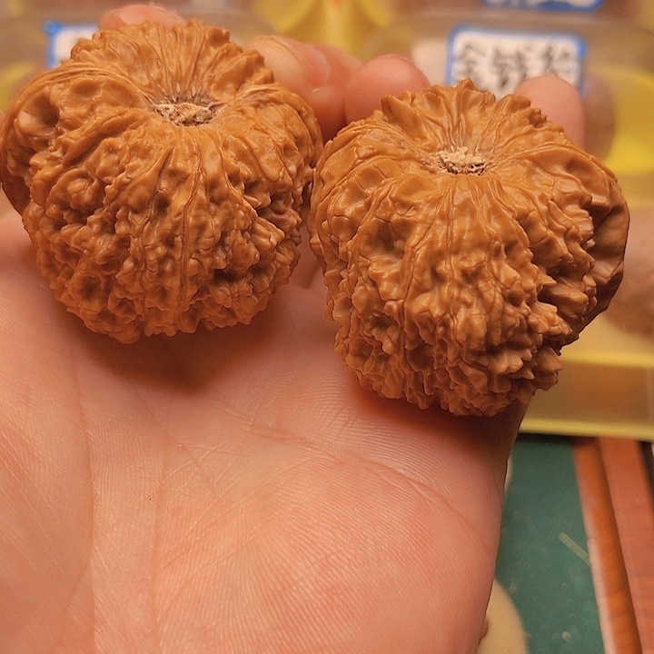 文玩核桃把件边45肚48全品大凹底137金蟾龟背异形