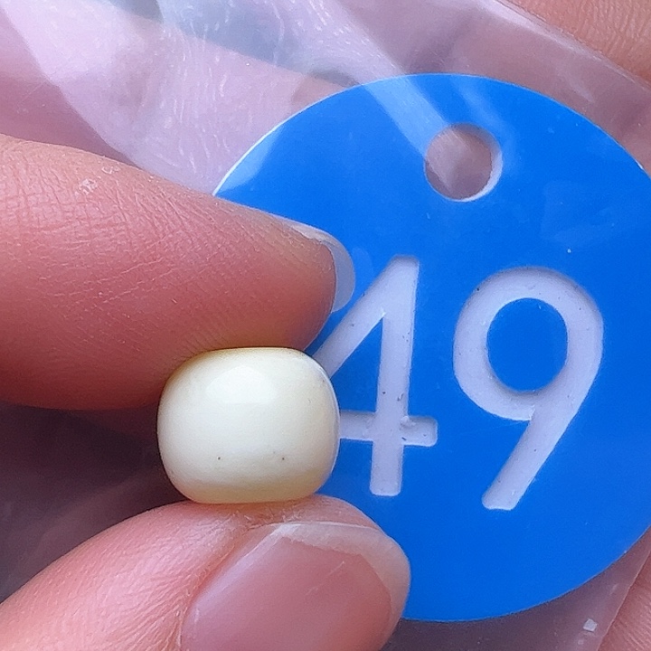 蜜蜡裸石未镶嵌花粉9.7m m
