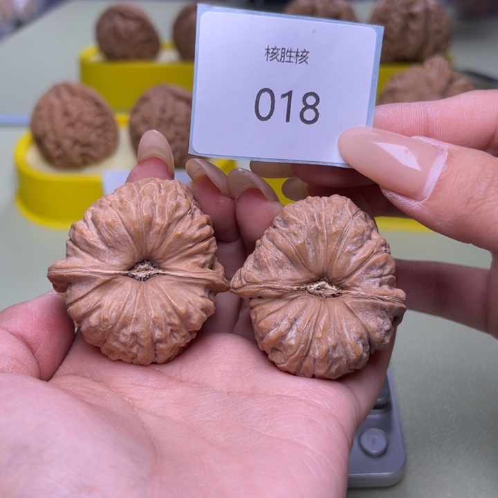 文玩核桃把件南瓜墩42.018