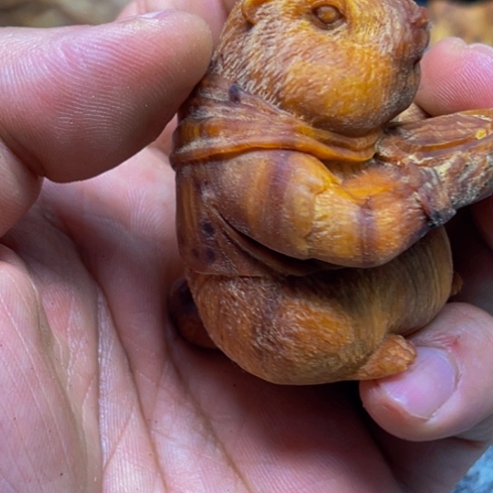 柏木（崖柏）崖柏310