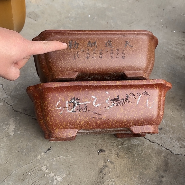 紫砂花盆这是我的