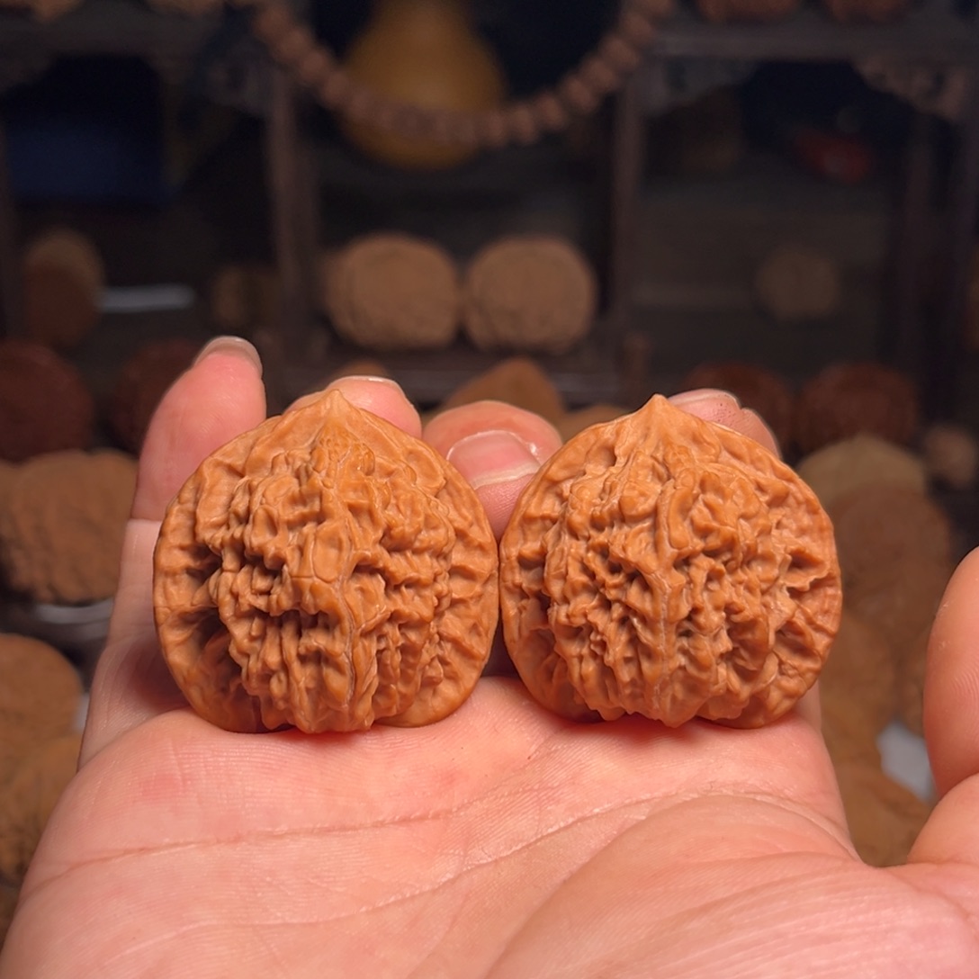 文玩核桃吊坠老树盘龙纹