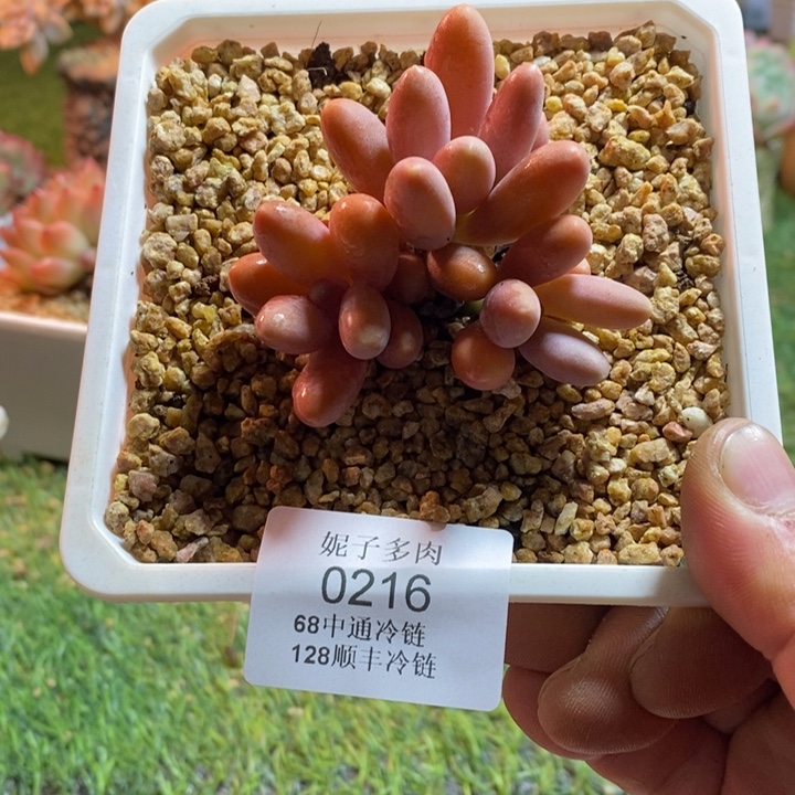 0216啊啊啊啊啊啊啊啊啊