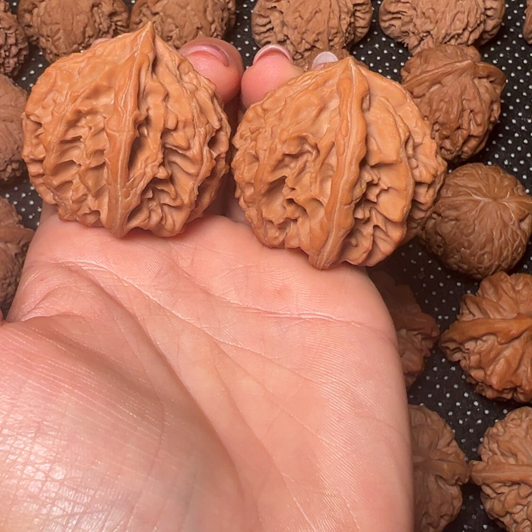 Z***Z雪顶，41➕，全品无修，