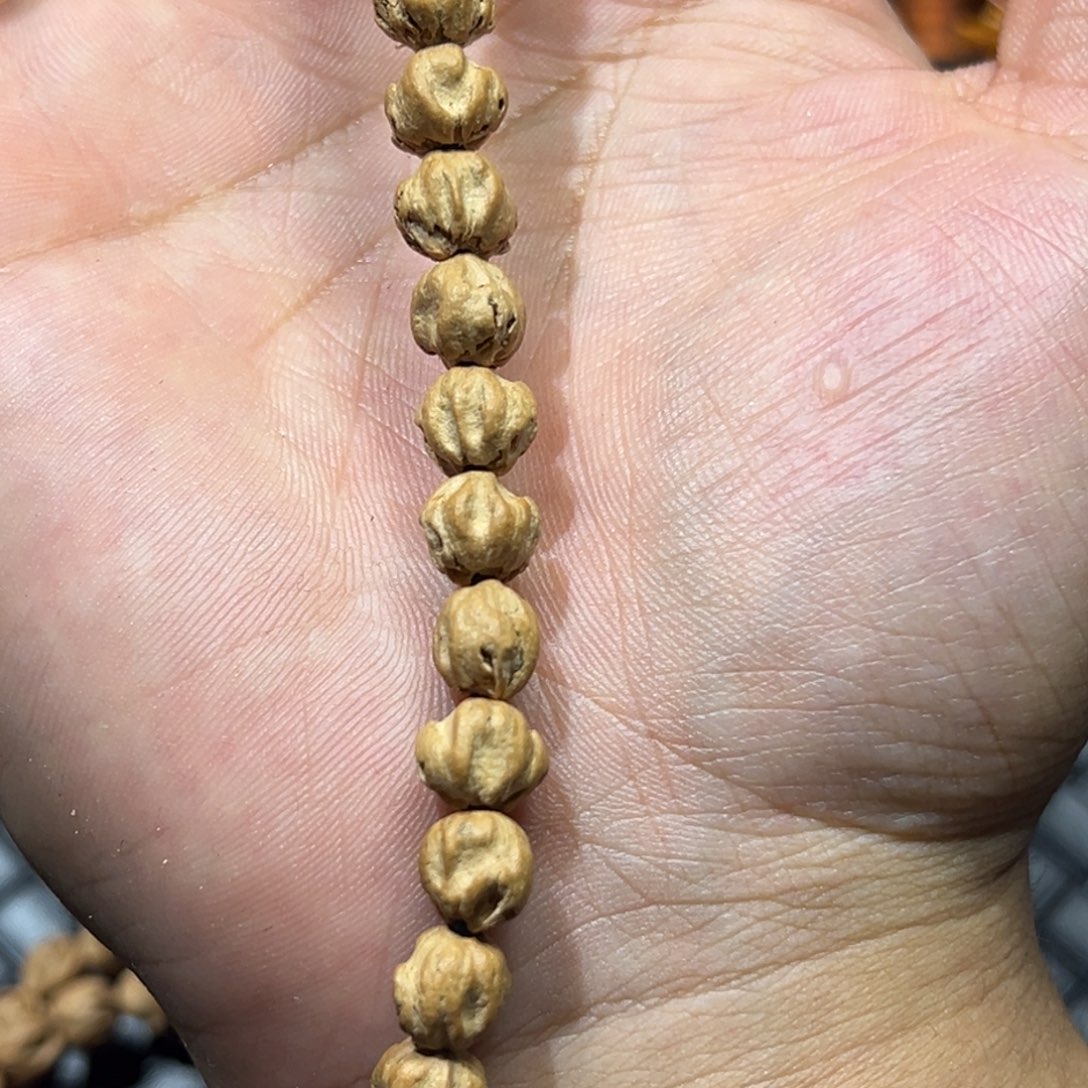柏香籽/百香籽吊坠脊龙