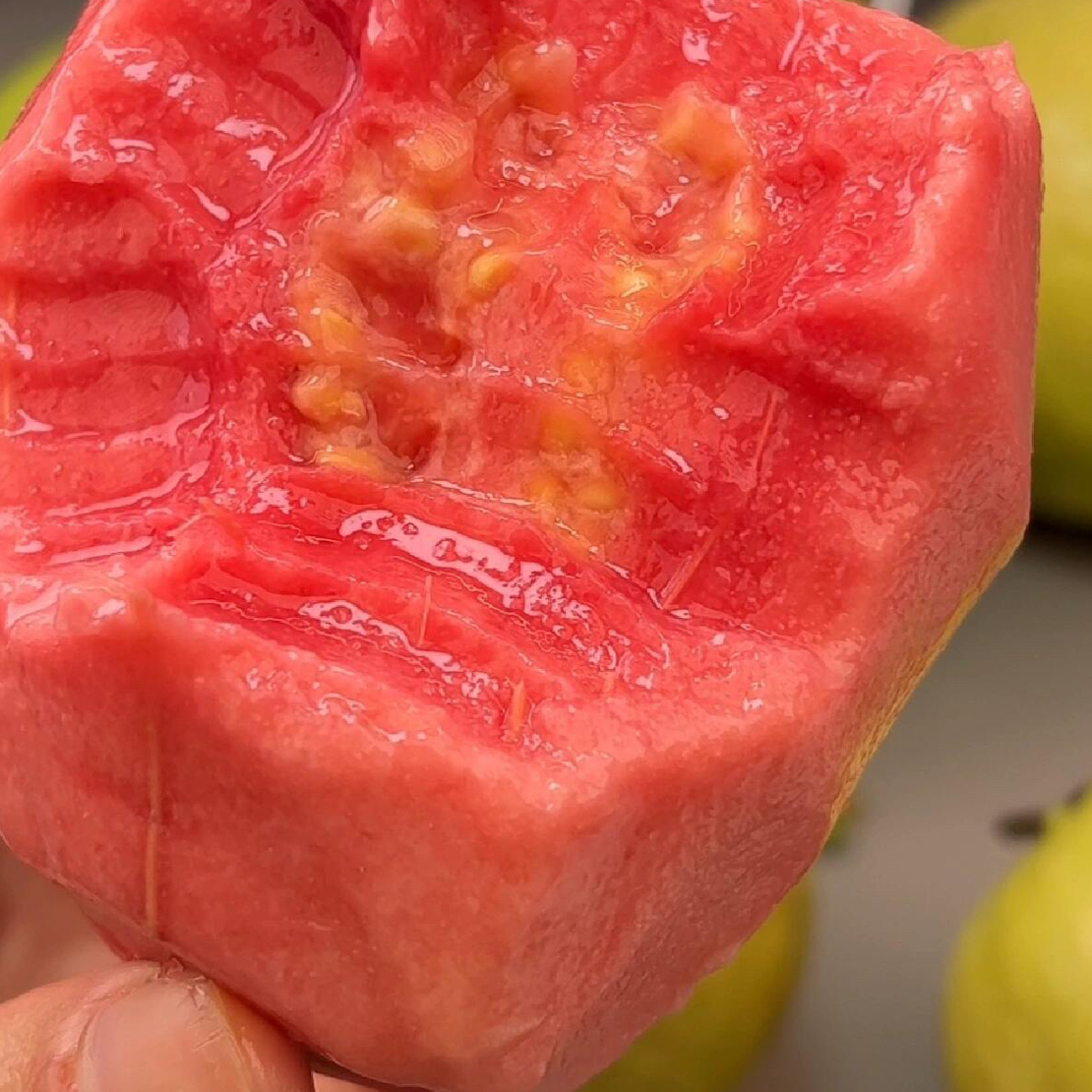 奶油红心芭乐 一盒2个装