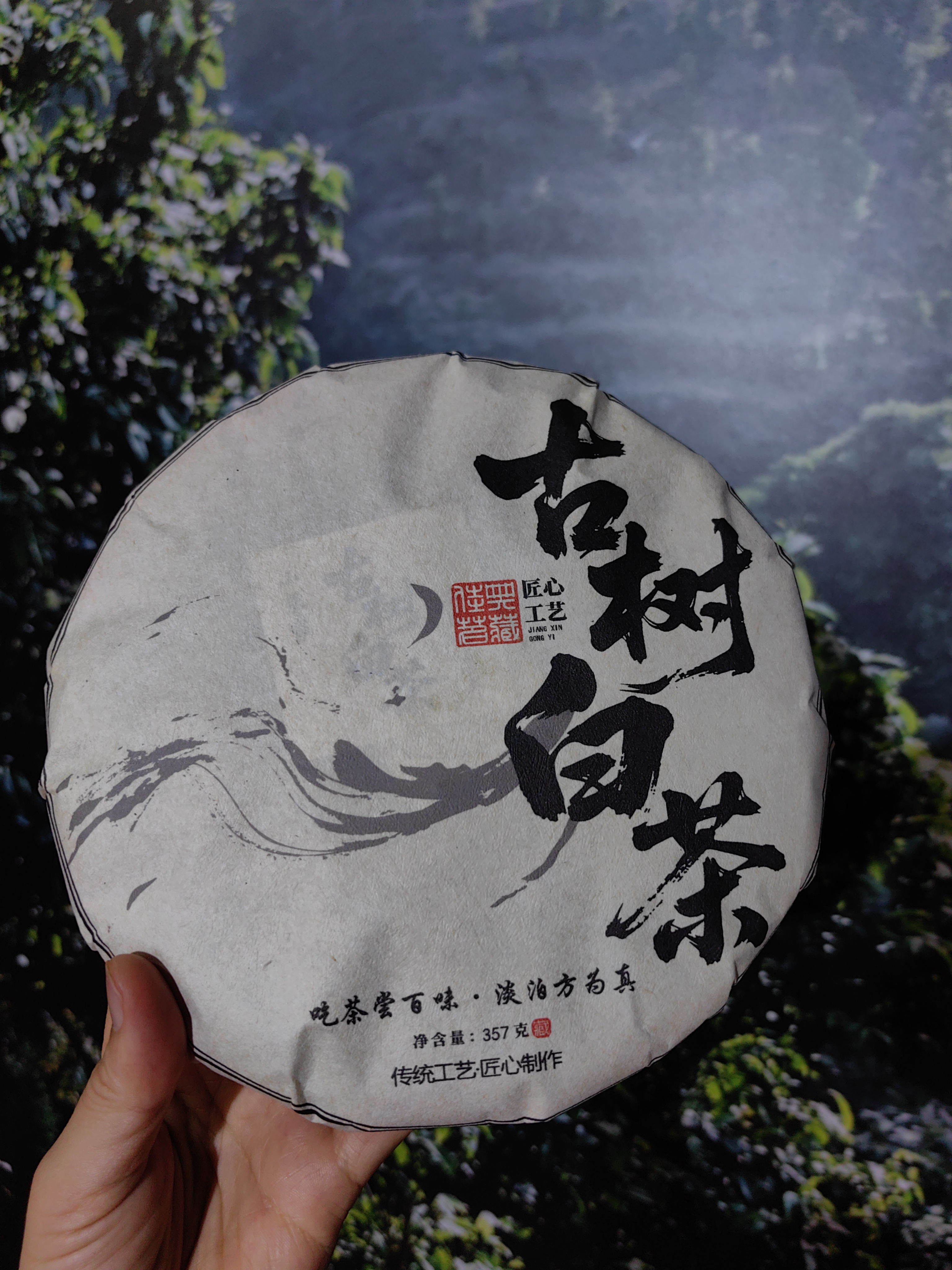 老爷子的茶5.11-【慢慢】