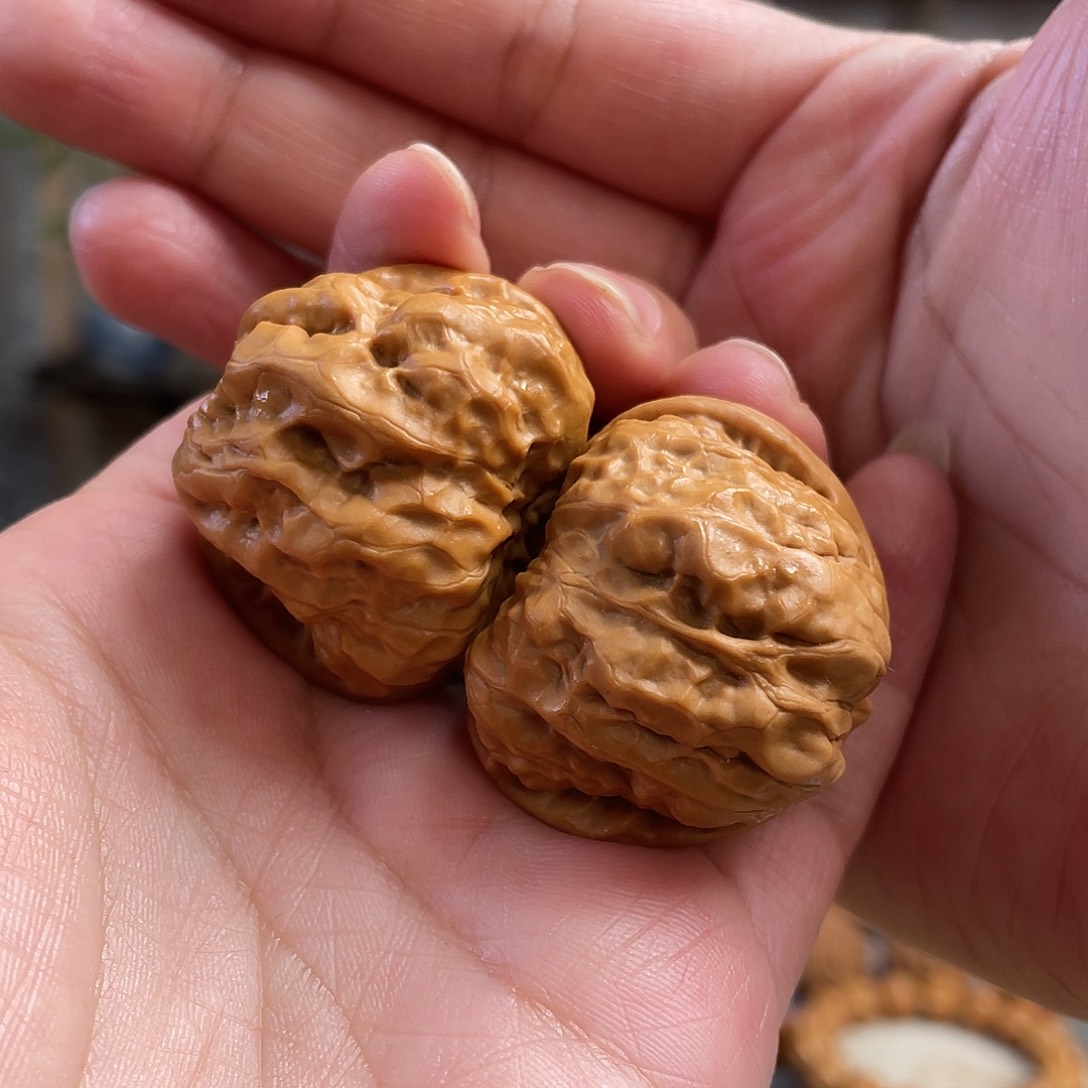 桃核把件38×39尺怀柔红皮蛤蟆头CN0975已打底