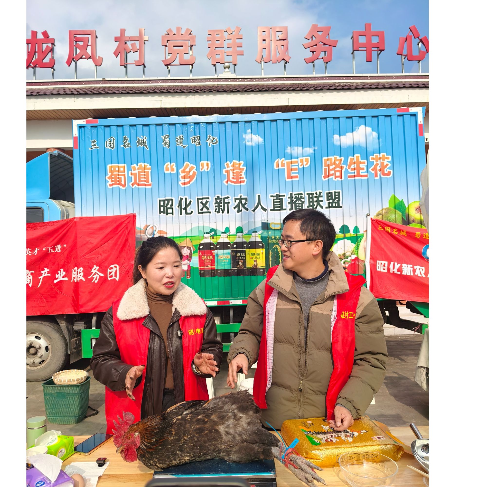 龙凤纯粮食散养黄油老母鸡带内脏坏单包赔（冯大爷家，编号000470）