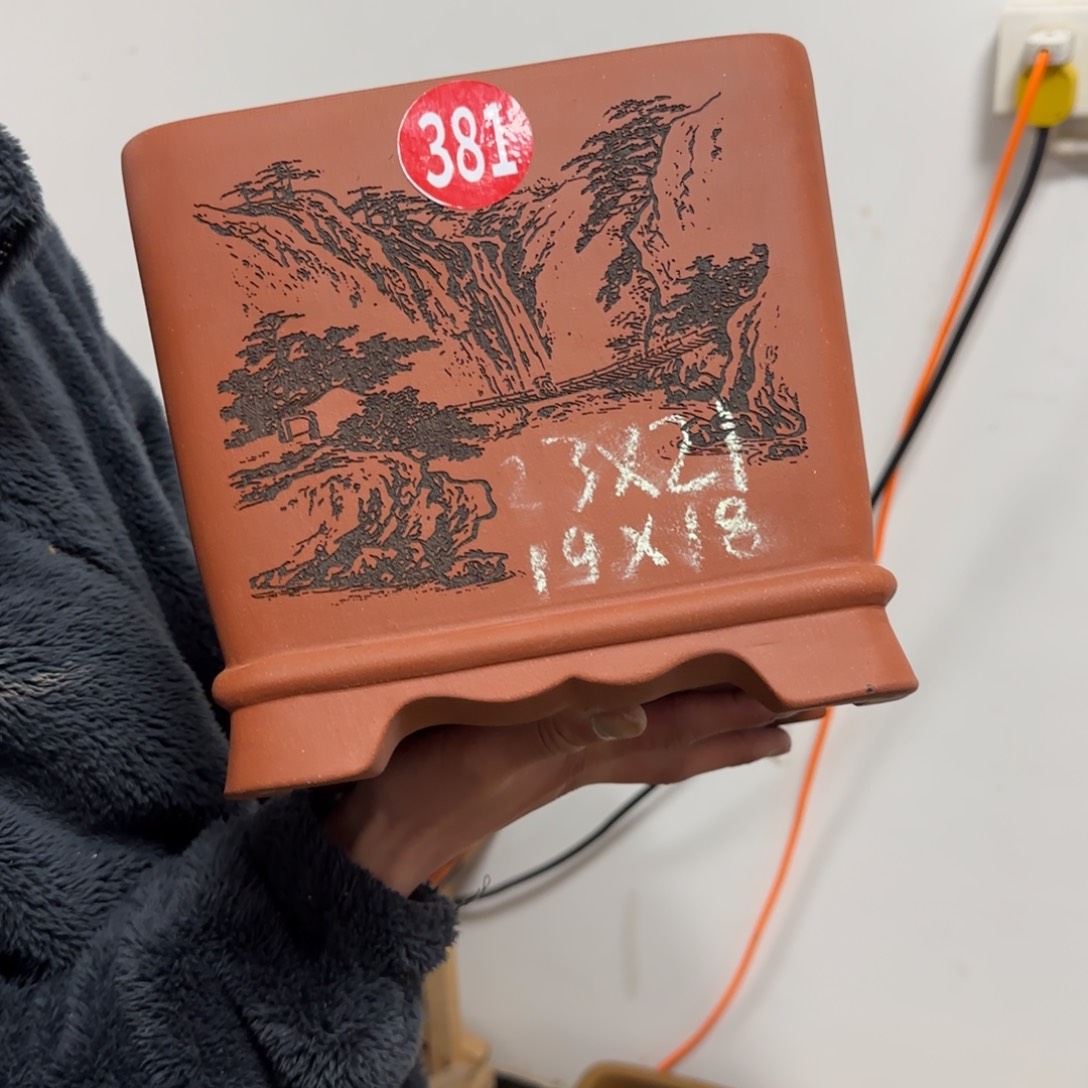 紫砂花盆呜呜呜呜