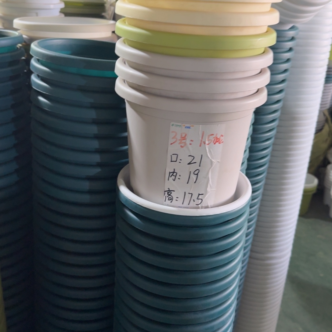 四季3#口径21无拖果绿10个