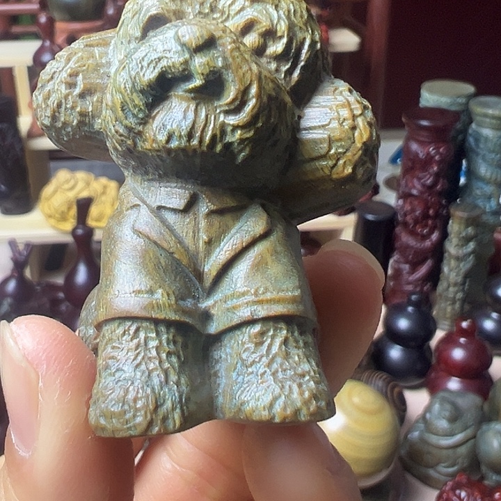 阿根廷绿檀泰迪狗