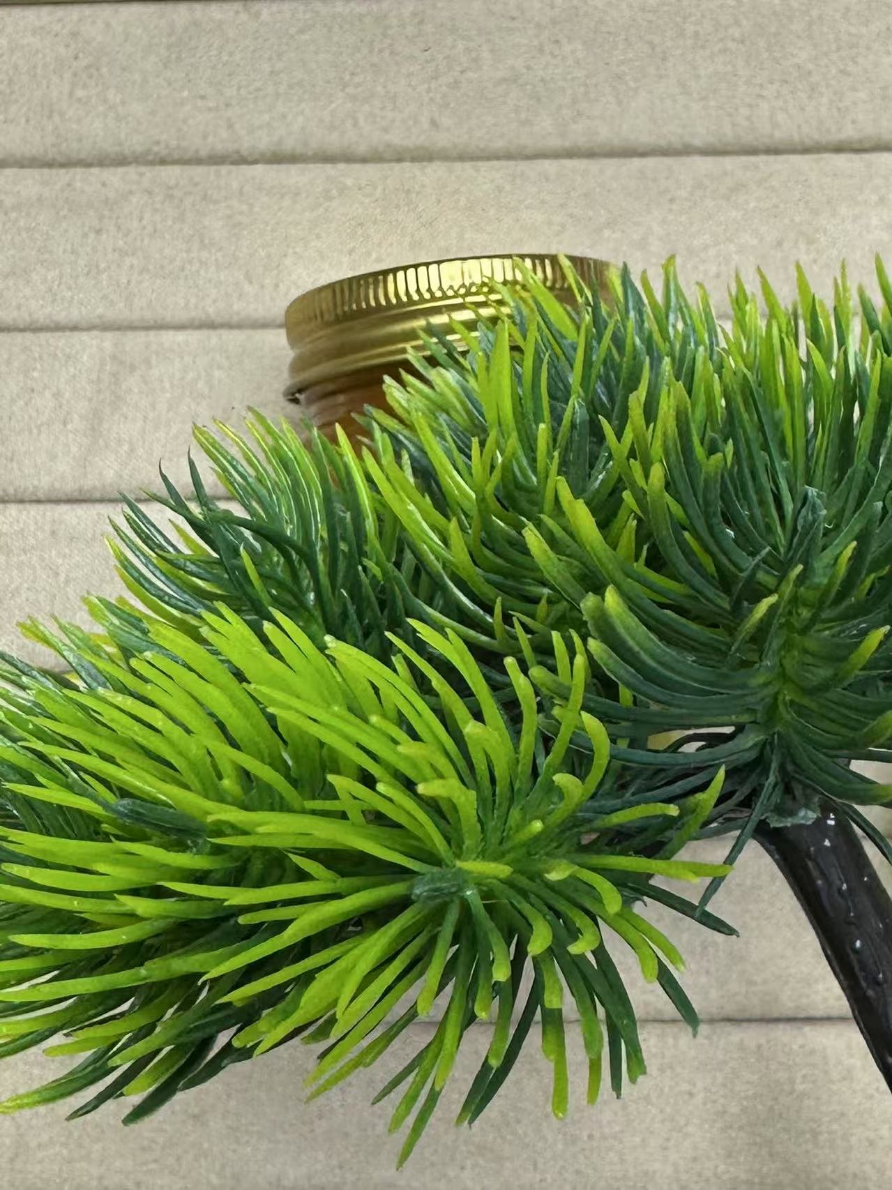 P2 绿色花 多样性发其一