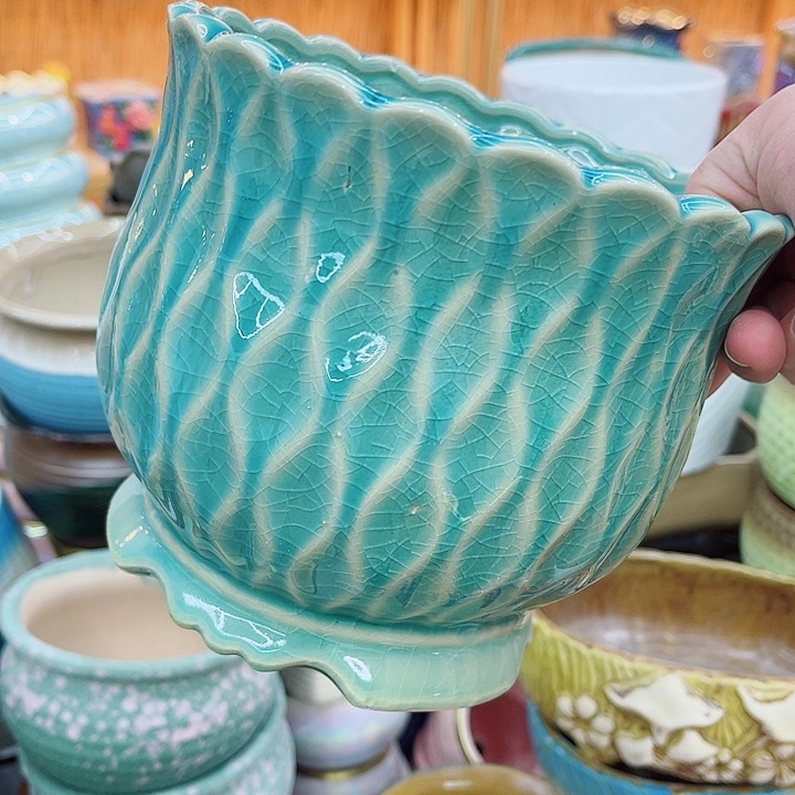 多肉植物陶瓷花盆