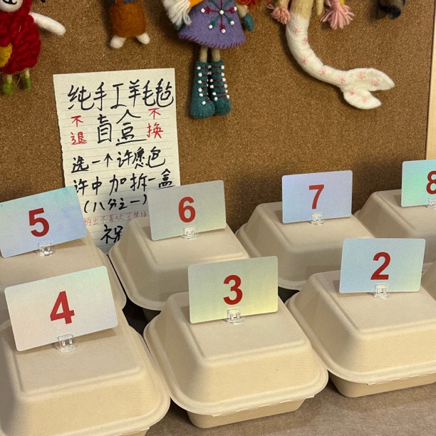 【许愿拆拆拆】纯手工羊毛毡挂件钥匙扣盲盒