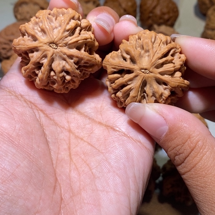 爪***巴手串/手链核桃亲们