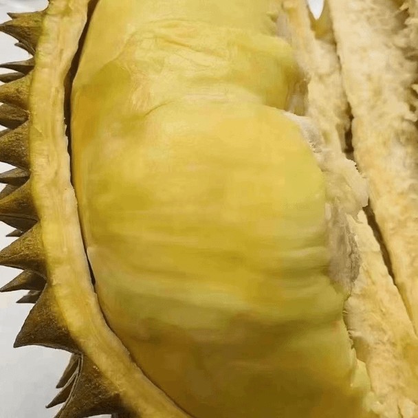 新鲜现剥金枕榴莲肉一斤核小金枕泰国