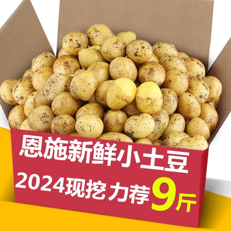  【2025年新货】农家自种老品种恩施黄心迷你新鲜小土豆洋芋马铃薯