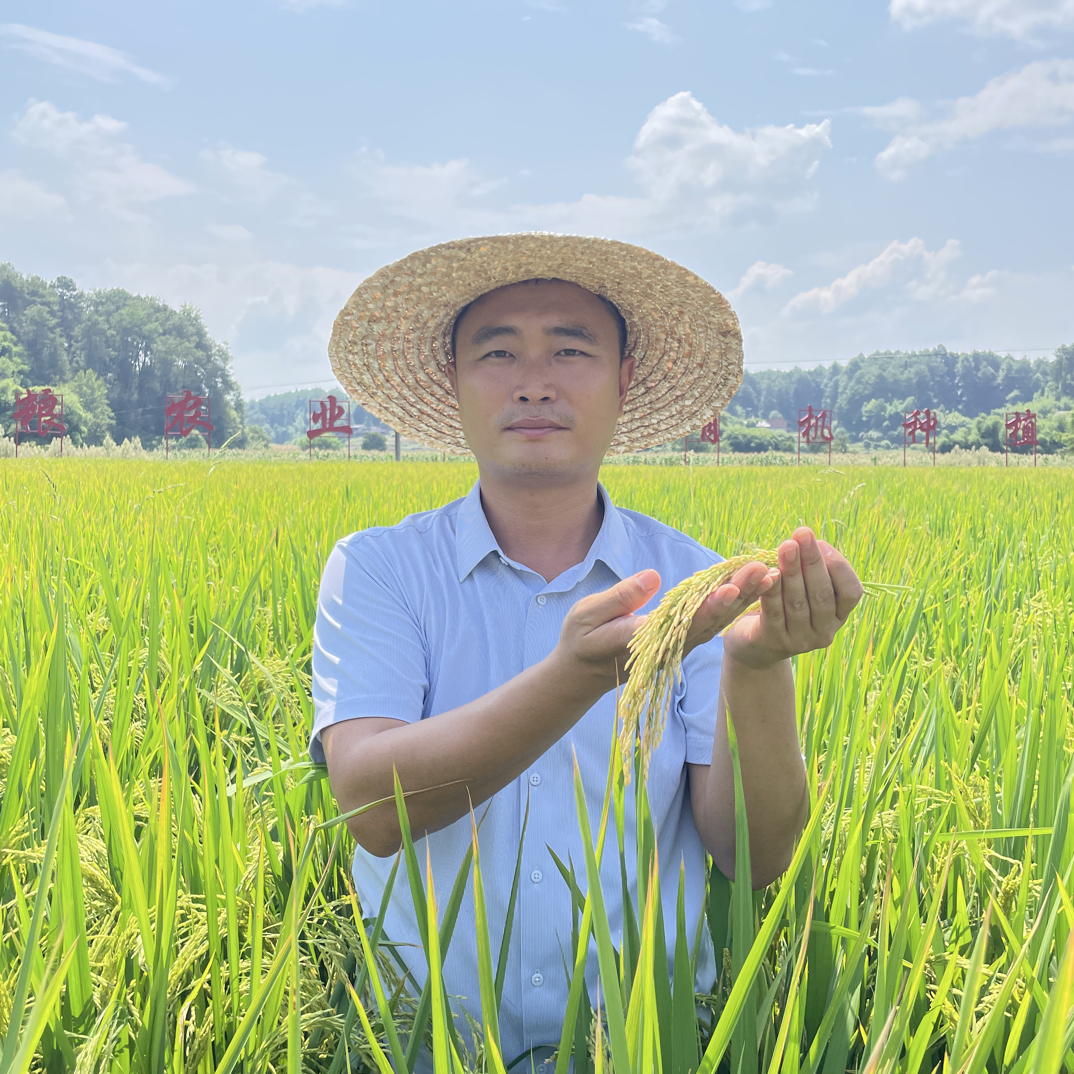 书记助农 福袋本地新米大米  专用链接