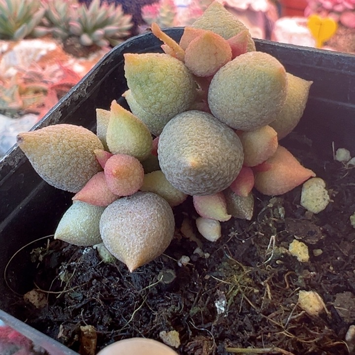 可一物一拍，感谢支持