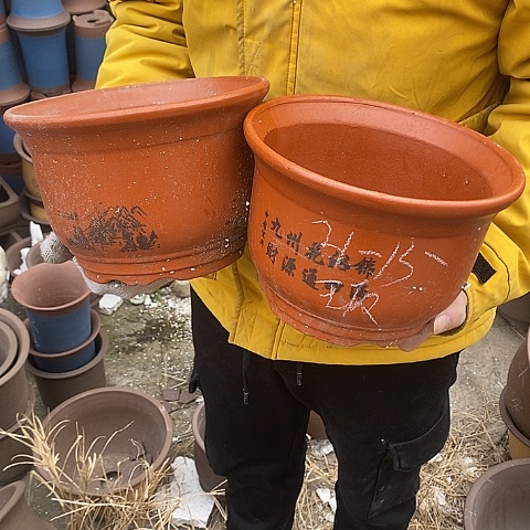 紫砂中国宜兴紫砂花，
