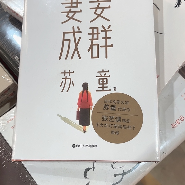 妻妾成群全新精装