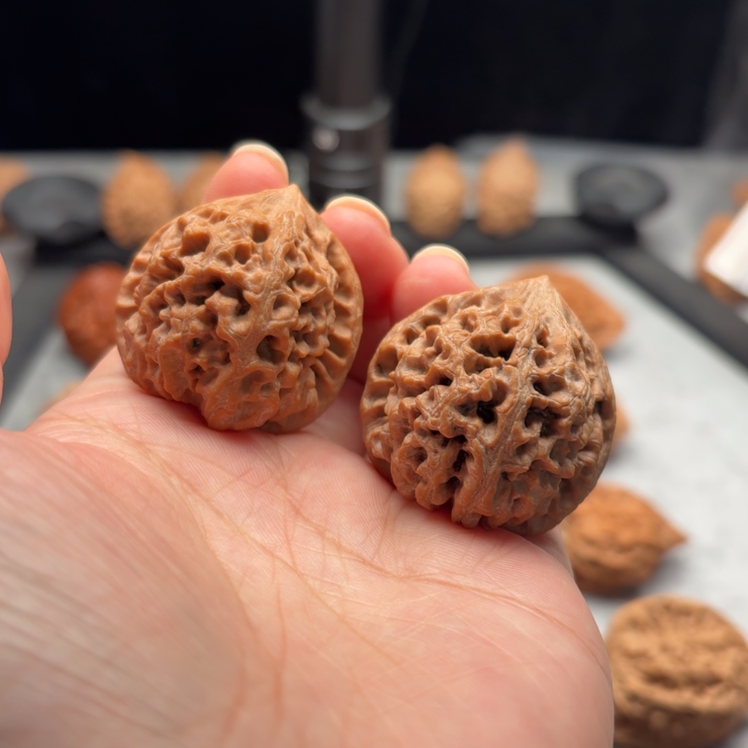 葫***娃把件文玩核桃太行龙纹【3611】36.39.36