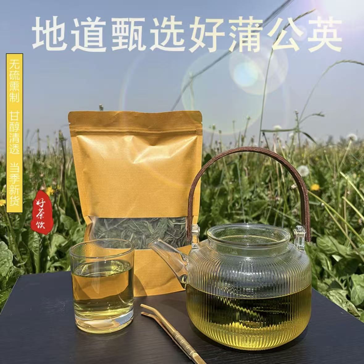 【刘老师甄选福利】蒲公英叶泡茶泡水喝的花草茶