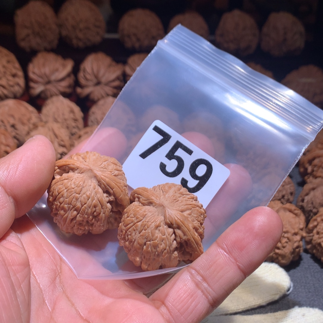 猪***贝桃核把件龙顶山狮子头759号