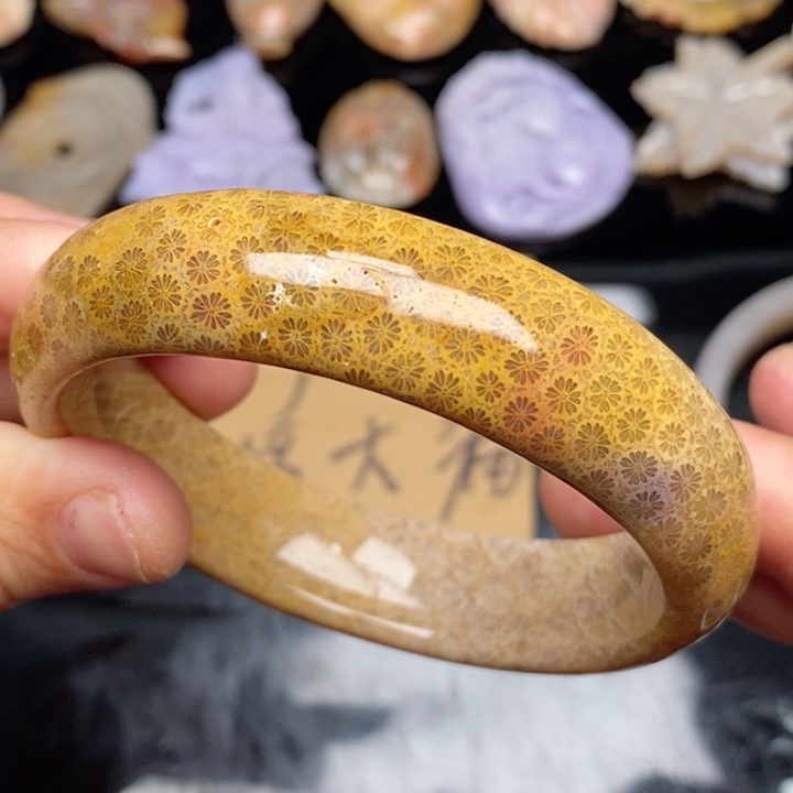 硅化珊瑚（珊瑚玉）颈饰未镶嵌61,4