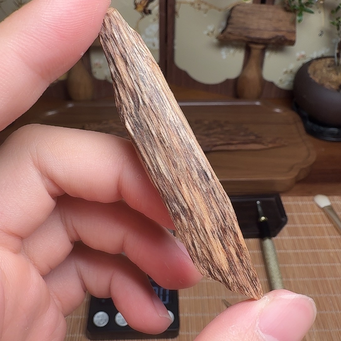 沉香达拉干树心油料子