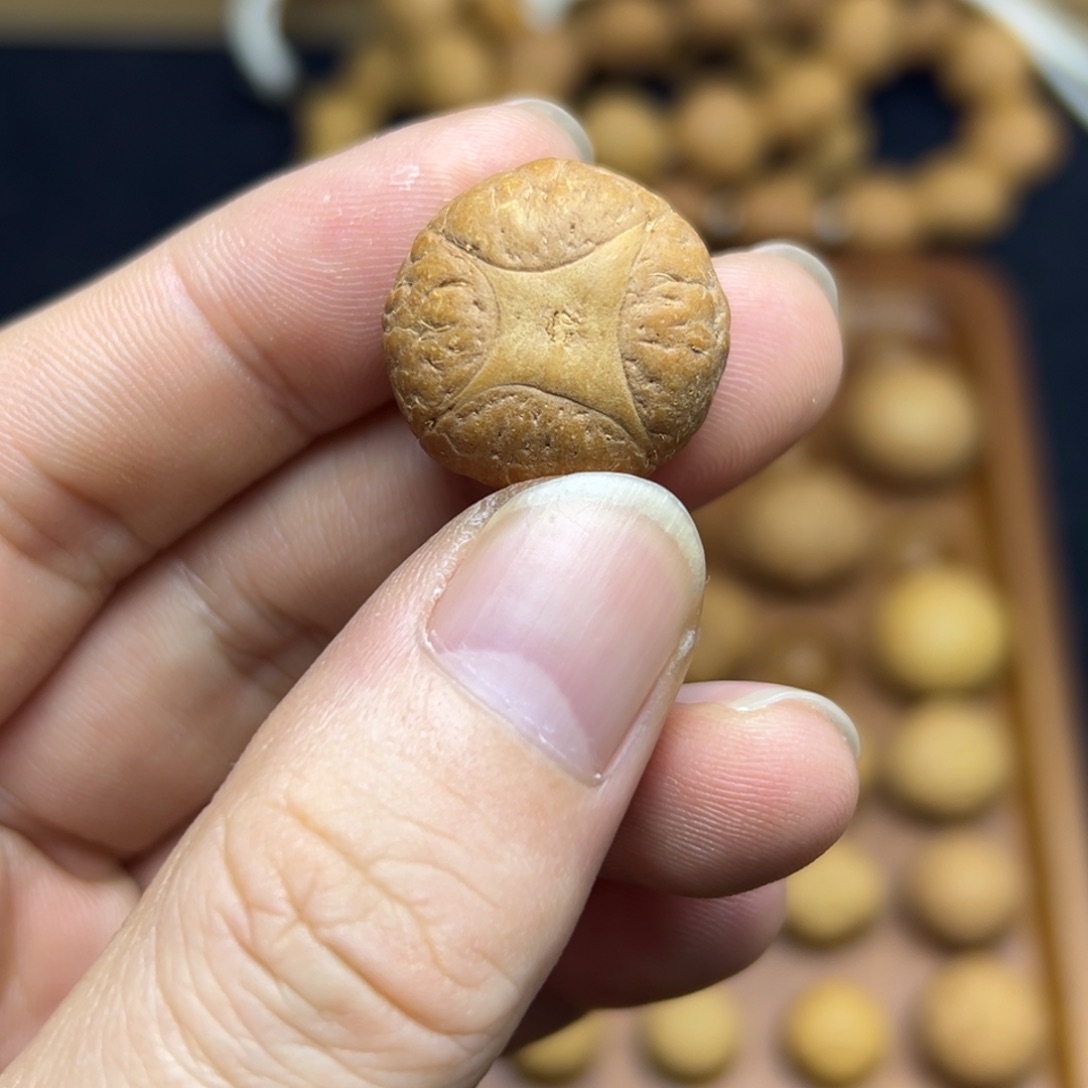 凤眼菩提手串21.5麒麟眼