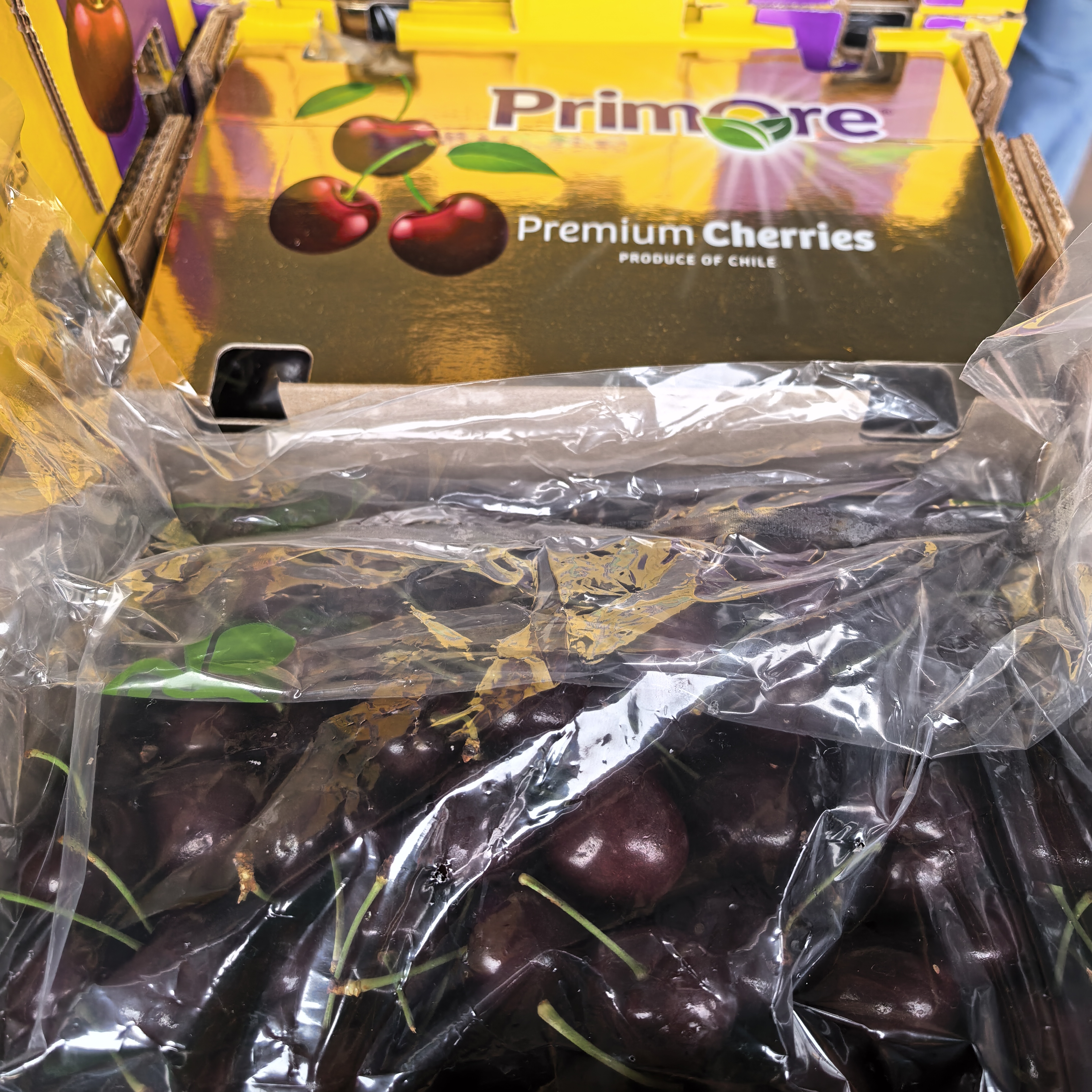 金都乐 4JDD 桑提娜智利空运进口车厘子 净重1-5斤 内附果径卡