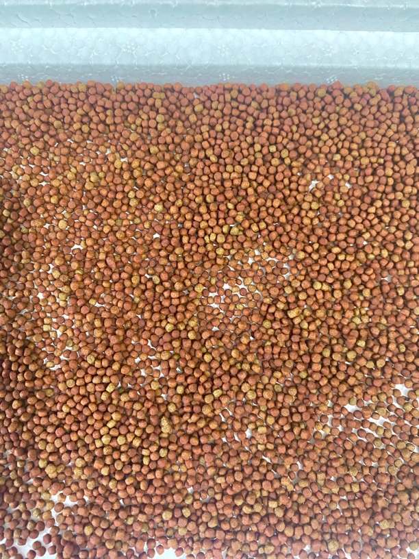 1号艳鱼粮罗汉鱼粮饵料喂养链接