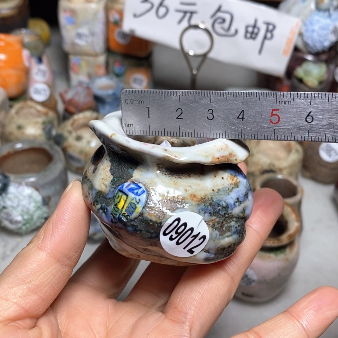 花盆拍3送一个小礼物