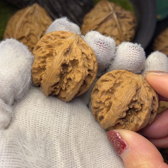 文玩核桃把件秦岭核桃13