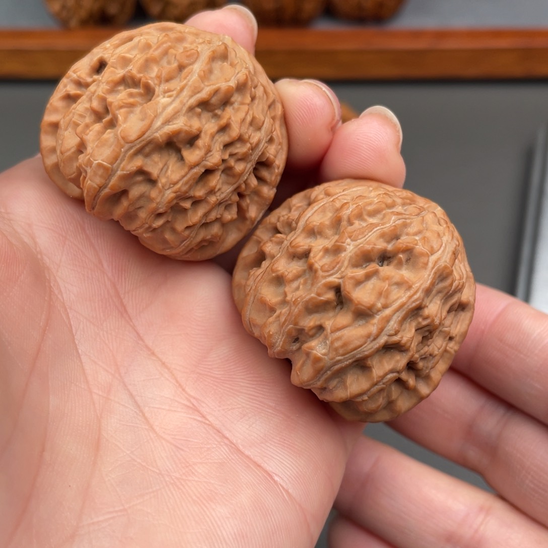 文玩核桃把件白狮子37