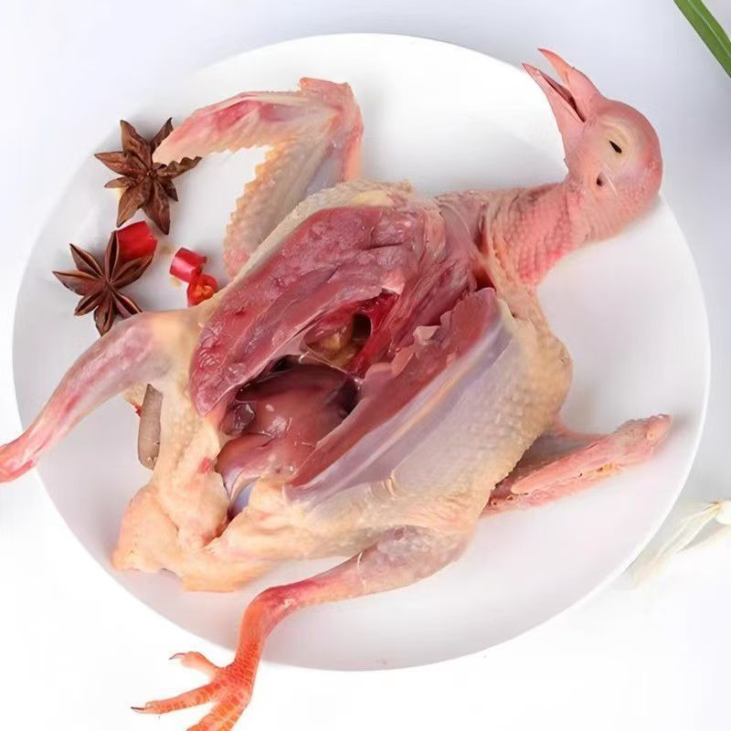 新鲜现杀信鸽肉煲汤佳品滋补美味