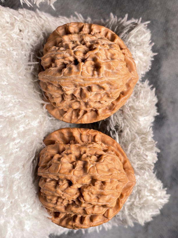 39老树三角白文玩核桃