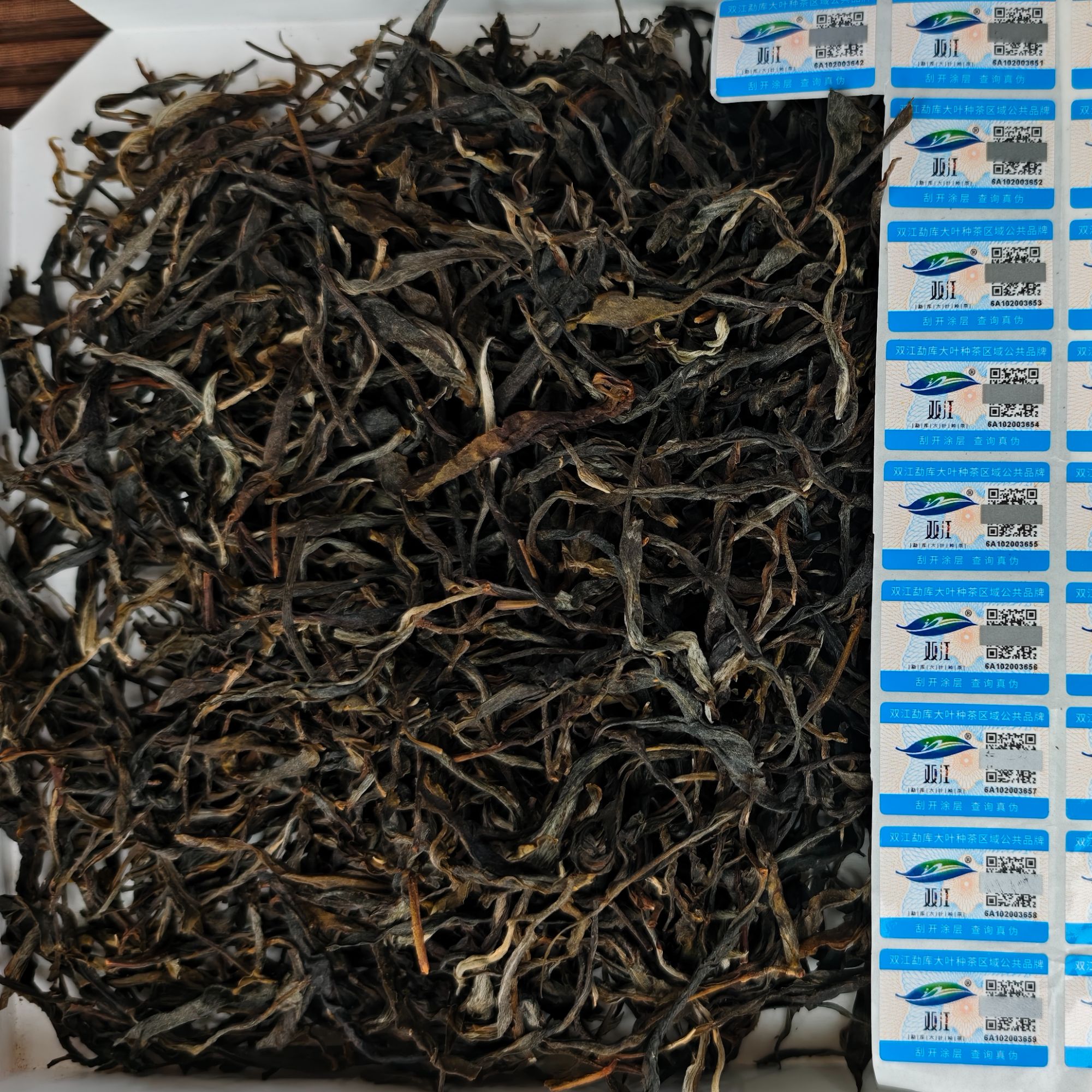 2024年 冰岛地界 大树春茶 生茶散料 10月23日 【024】