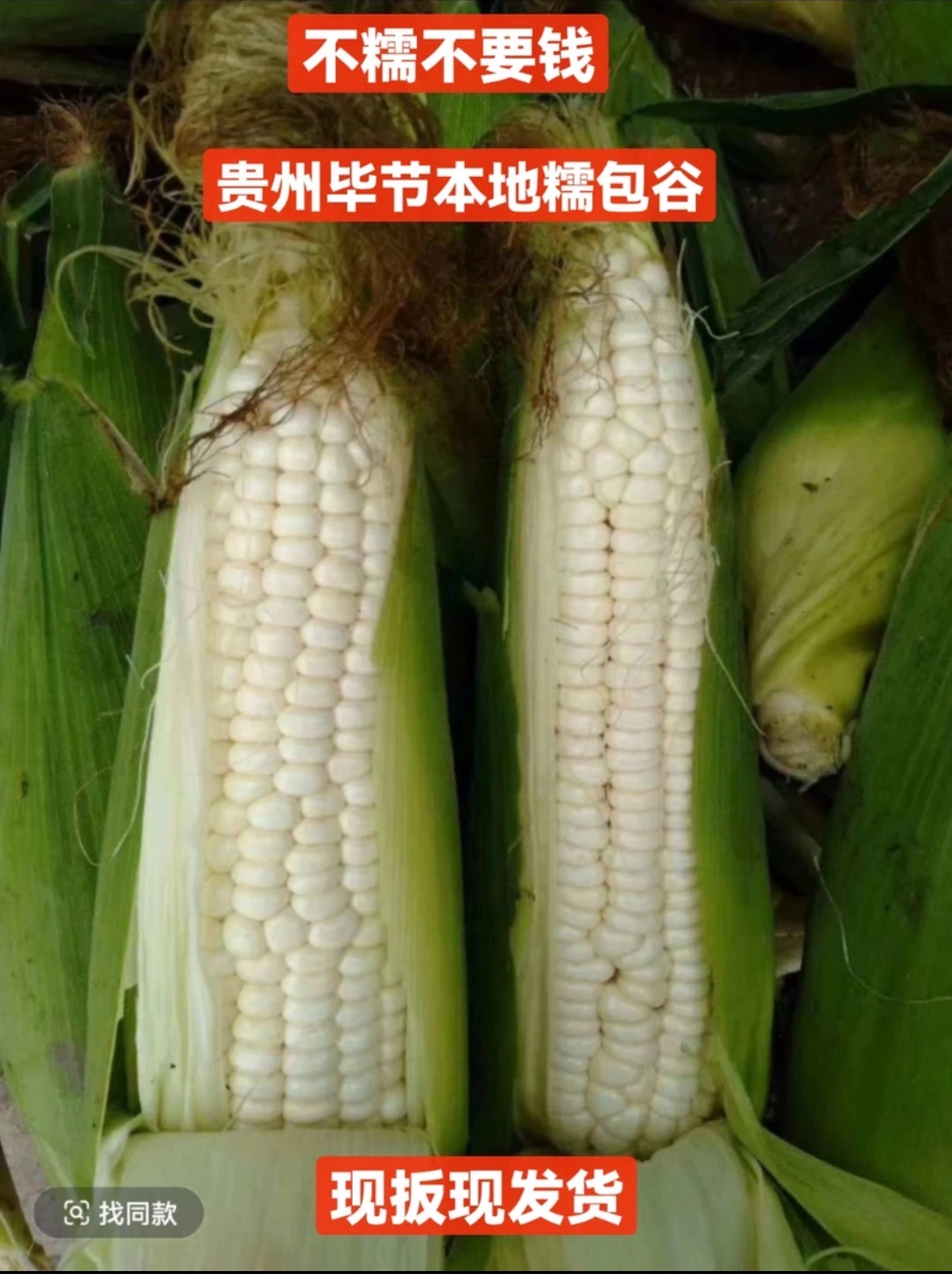 贵州新鲜采摘当季白甜糯玉米带壳发货口感软糯香甜