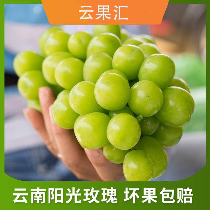 云南阳光玫瑰3-5斤脆甜提子水晶葡萄香印青提新鲜水果