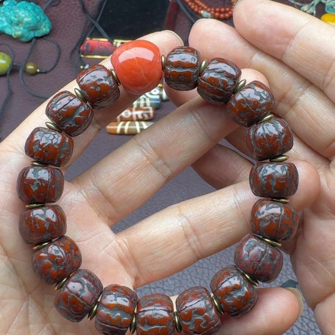 菩提籽类扎西强推荐