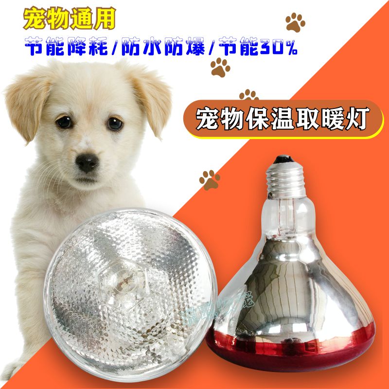 宠物猫狗家庭养殖专用防水防爆加厚保温灯猪牛羊小鸡育雏取暖必备