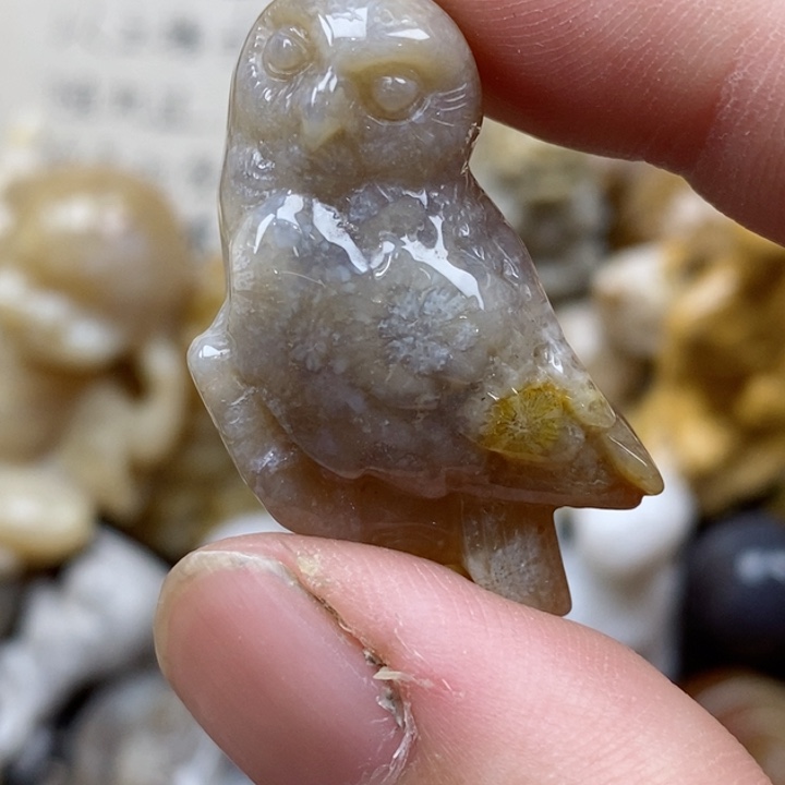 颈饰未镶嵌硅化珊瑚（珊瑚玉）小