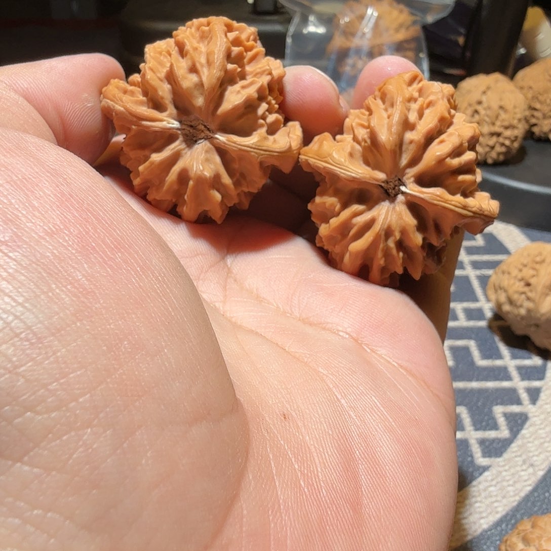 文玩核桃把件曹大龙