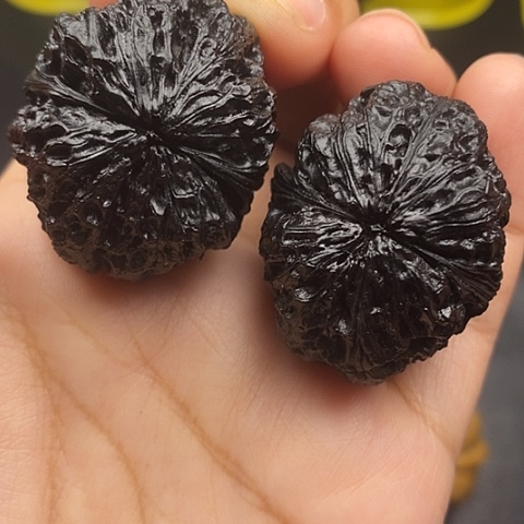 文玩核桃把件38尺菊花底